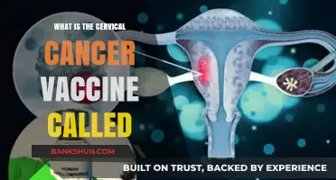 Cervical Cancer Vaccine: Understanding the HPV Shot's Name and Purpose
