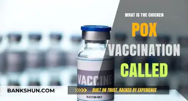 Understanding the Chickenpox Vaccine: What is the Varicella Shot Called?