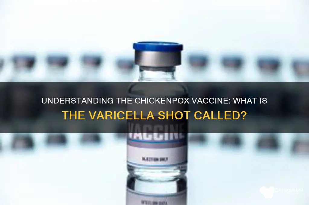 what is the chicken pox vaccination called