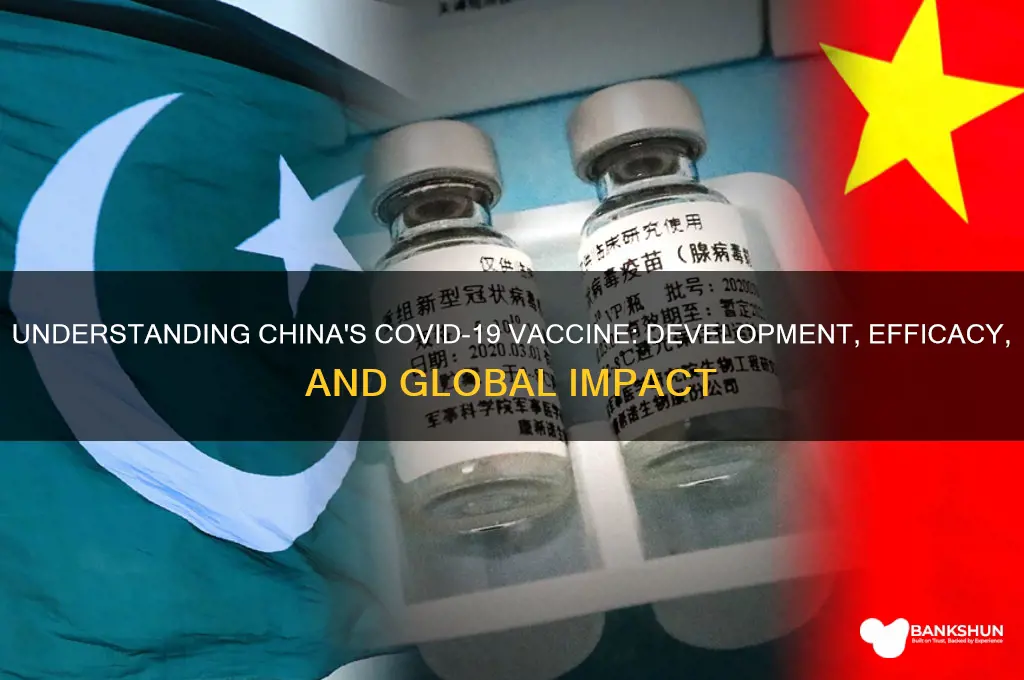 what is the chinese vaccine for coronavirus