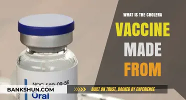 Understanding Cholera Vaccine Composition: Ingredients and Manufacturing Process