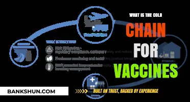 Understanding the Cold Chain: Safeguarding Vaccine Efficacy from Production to Patient