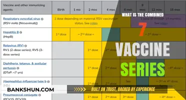 Understanding the Combined 7-Vaccine Series: Essential Immunizations Explained