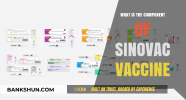 Understanding Sinovac Vaccine: Key Components and Their Functions Explained