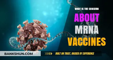 Addressing Concerns About mRNA Vaccines: Safety, Efficacy, and Myths