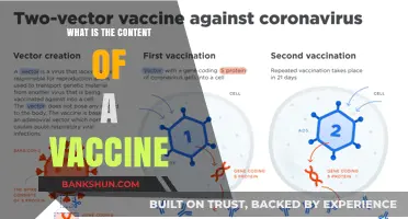 Understanding Vaccine Composition: Key Ingredients and Their Roles Explained
