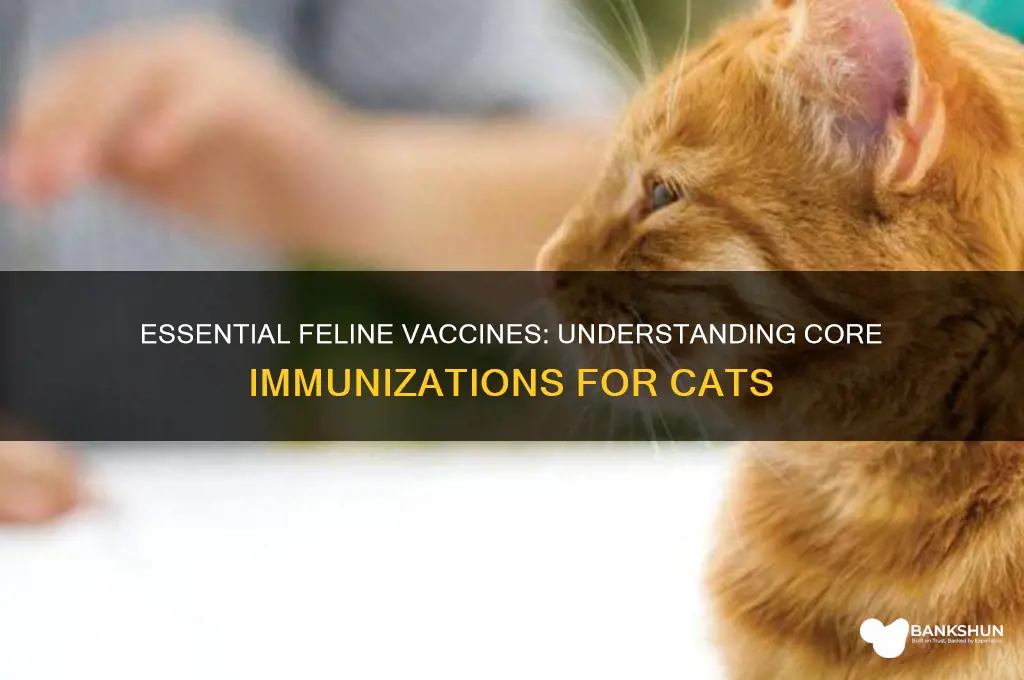 what is the core vaccine for cats