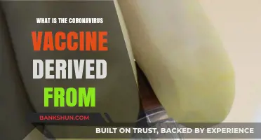 Understanding the Origins: What is the Coronavirus Vaccine Derived From?