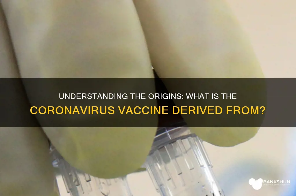 what is the coronavirus vaccine derived from
