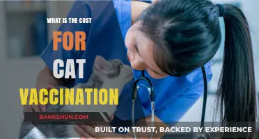 Understanding the Cost of Cat Vaccinations: A Comprehensive Guide