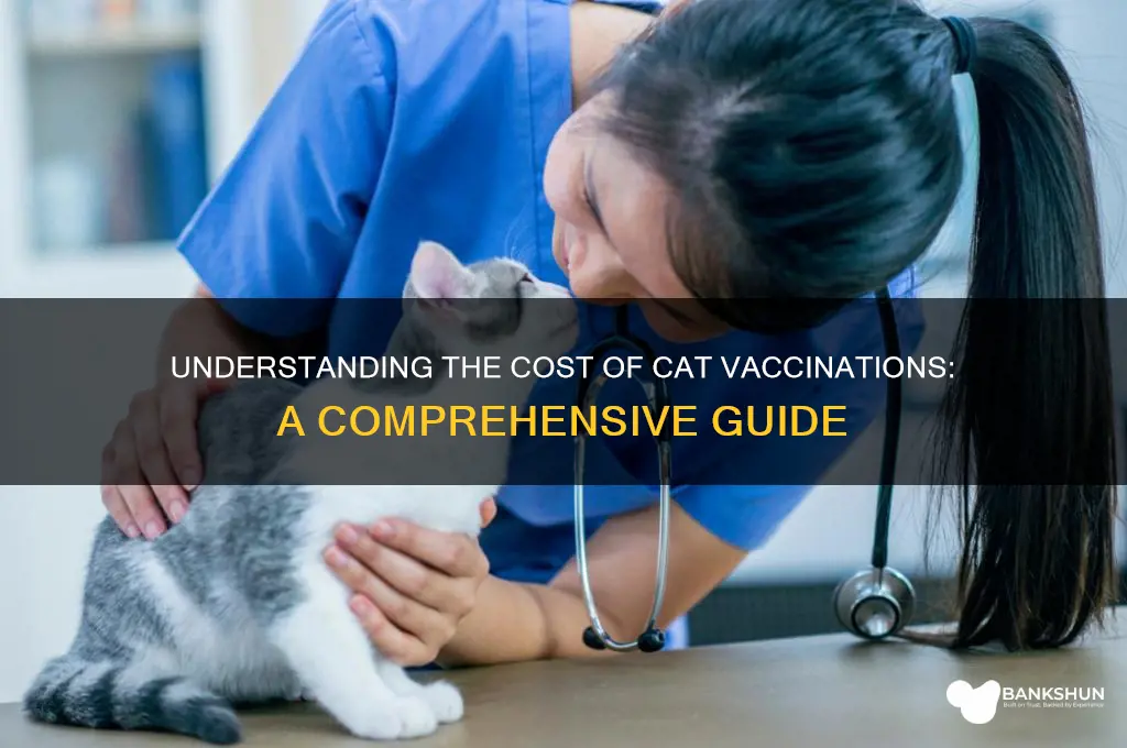 what is the cost for cat vaccination