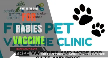 Rabies Vaccine Cost: Understanding Expenses and Affordable Options