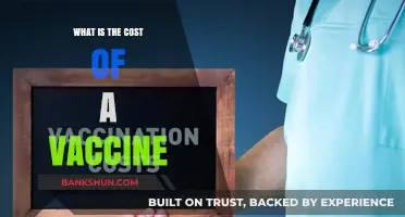 Understanding the Financial Impact: What Does a Vaccine Cost?