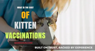 Understanding the Cost of Kitten Vaccinations: A Comprehensive Guide