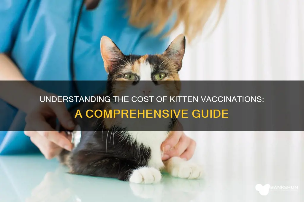 what is the cost of kitten vaccinations