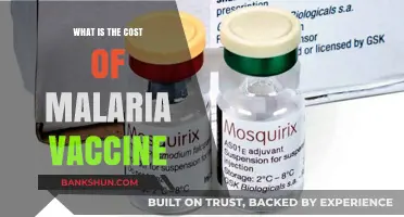 Understanding the Financial Impact of Malaria Vaccines: Costs and Benefits