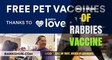 Understanding the Cost of Rabies Vaccine: A Comprehensive Guide