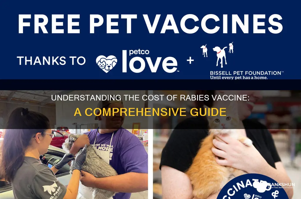 what is the cost of rabbies vaccine