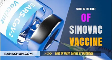 Sinovac Vaccine Cost: Pricing, Accessibility, and Global Distribution Insights