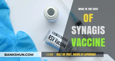 Understanding Synagis Vaccine Costs: A Comprehensive Guide for Parents