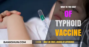 Understanding Typhoid Vaccine Costs: A Comprehensive Guide for Travelers