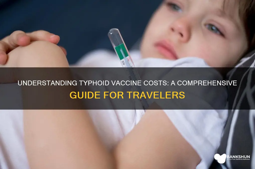what is the cost of typhoid vaccine