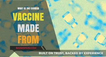 Understanding COVID-19 Vaccine Ingredients: A Comprehensive Breakdown