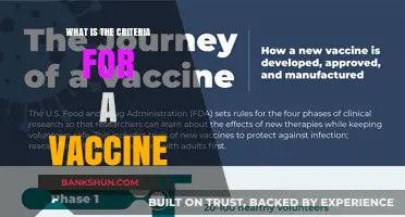 Understanding Vaccine Criteria: Key Requirements for Safety and Efficacy