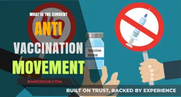 The Rise of Anti-Vaccination Beliefs: Understanding Today's Movement