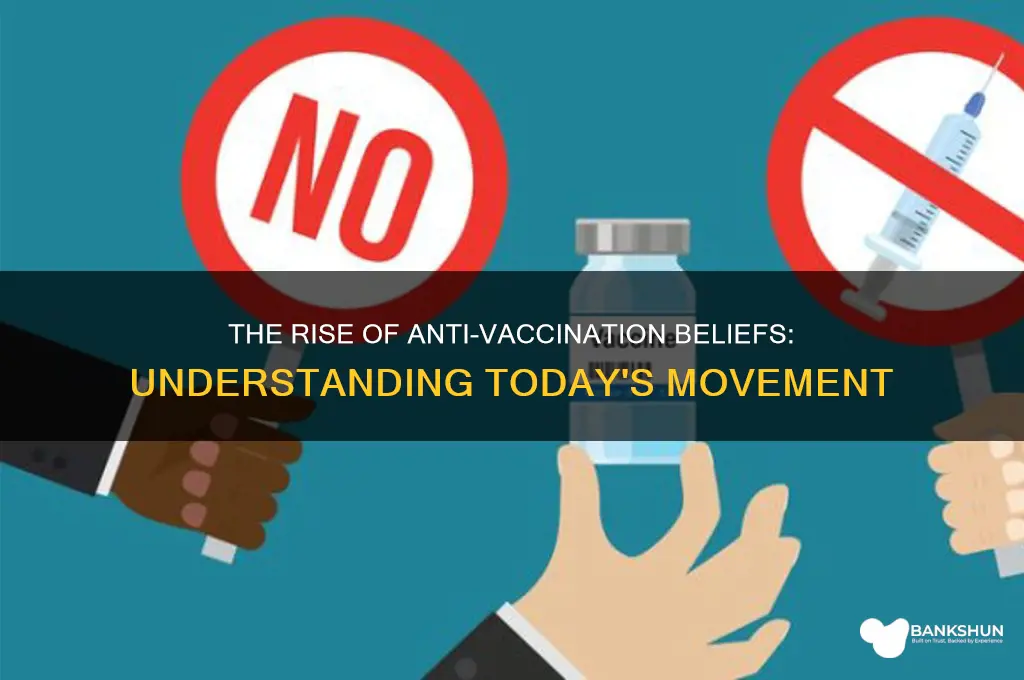 what is the current anti vaccination movement