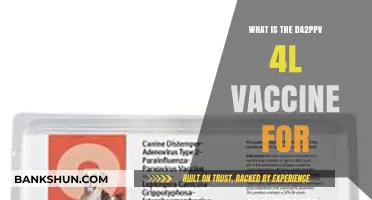 Understanding DA2PPv 4L: Essential Canine Vaccine Explained Simply