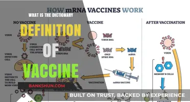 Understanding Vaccines: The Official Dictionary Definition Explained Simply