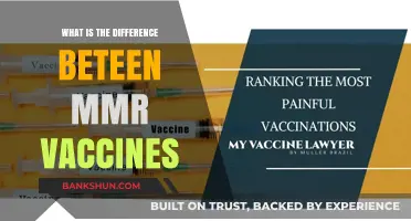 MMR Vaccines Explained: Key Differences and Their Importance