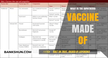 Understanding Diphtheria Vaccine Composition: Ingredients and Their Role Explained