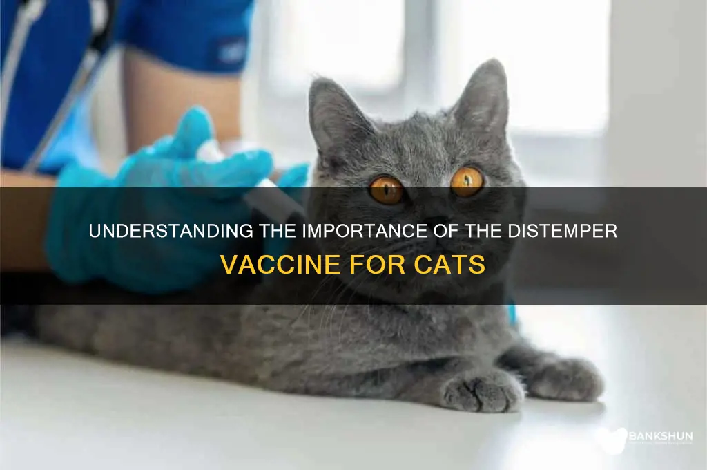 what is the distemper vaccine for cats