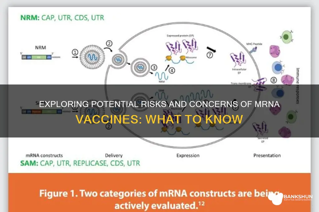 what is the downside of mrna vaccine