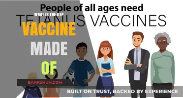 Understanding the DTP Vaccine: Components, Ingredients, and Composition Explained