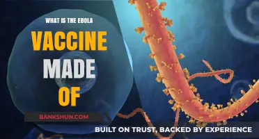 Understanding the Ebola Vaccine: Key Components and Development Process