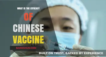 Evaluating the Effectiveness of Chinese COVID-19 Vaccines: A Comprehensive Review