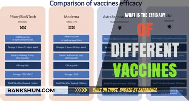 Comparing Vaccine Efficacy: Which Shots Offer the Best Protection?