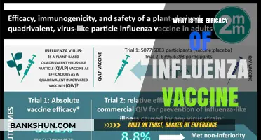 Understanding Influenza Vaccine Efficacy: Benefits, Limitations, and Public Health Impact