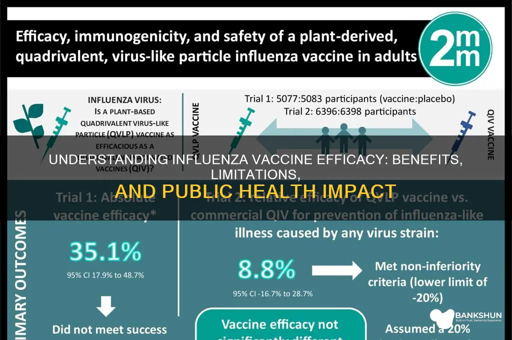 what is the efficacy of influenza vaccine