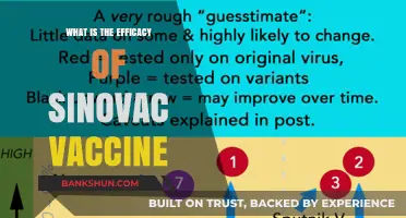 Evaluating Sinovac Vaccine: Efficacy, Safety, and Global Impact Explained