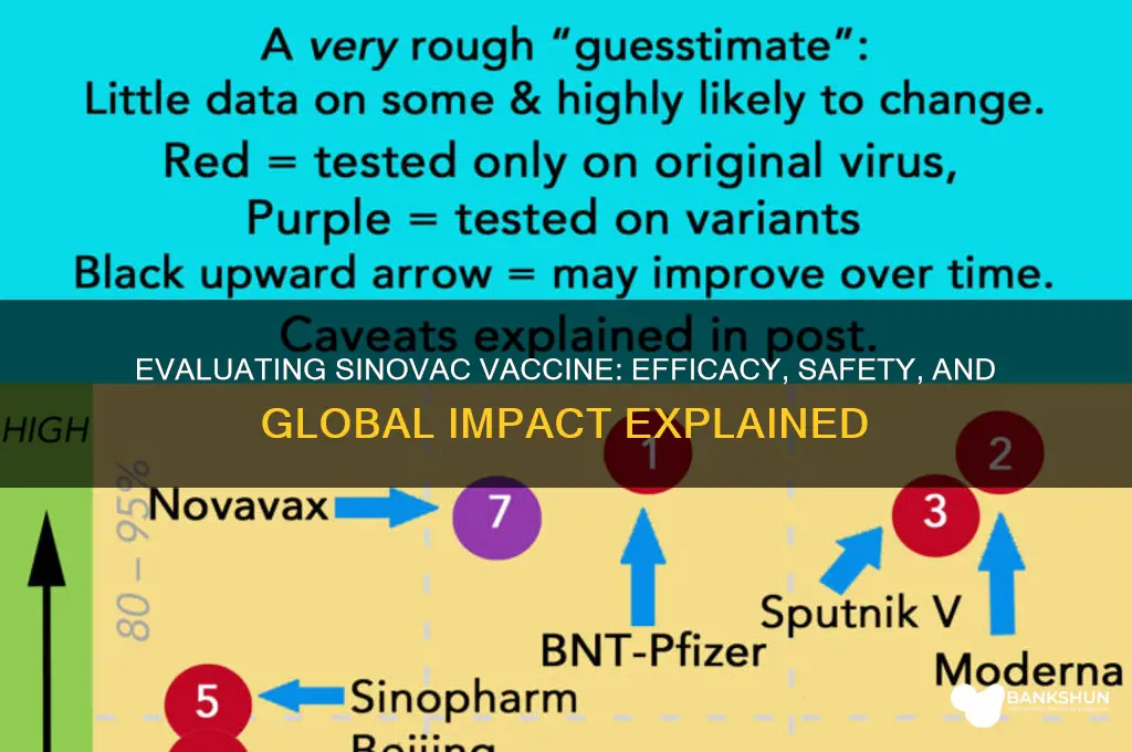 what is the efficacy of sinovac vaccine