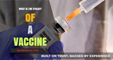 Understanding Vaccine Efficacy: How Effective Are Vaccines in Preventing Diseases?