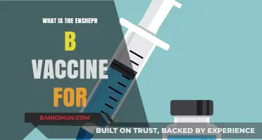 Understanding the Encephalitis B Vaccine: Purpose, Benefits, and Importance