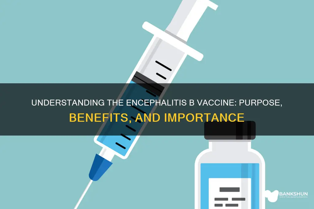 what is the encheph b vaccine for