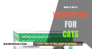 Understanding the F3 Vaccination: Essential Protection for Your Cat's Health