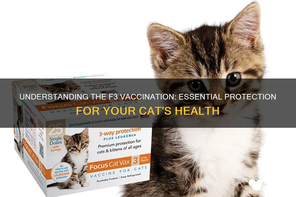 what is the f3 vaccination for cats