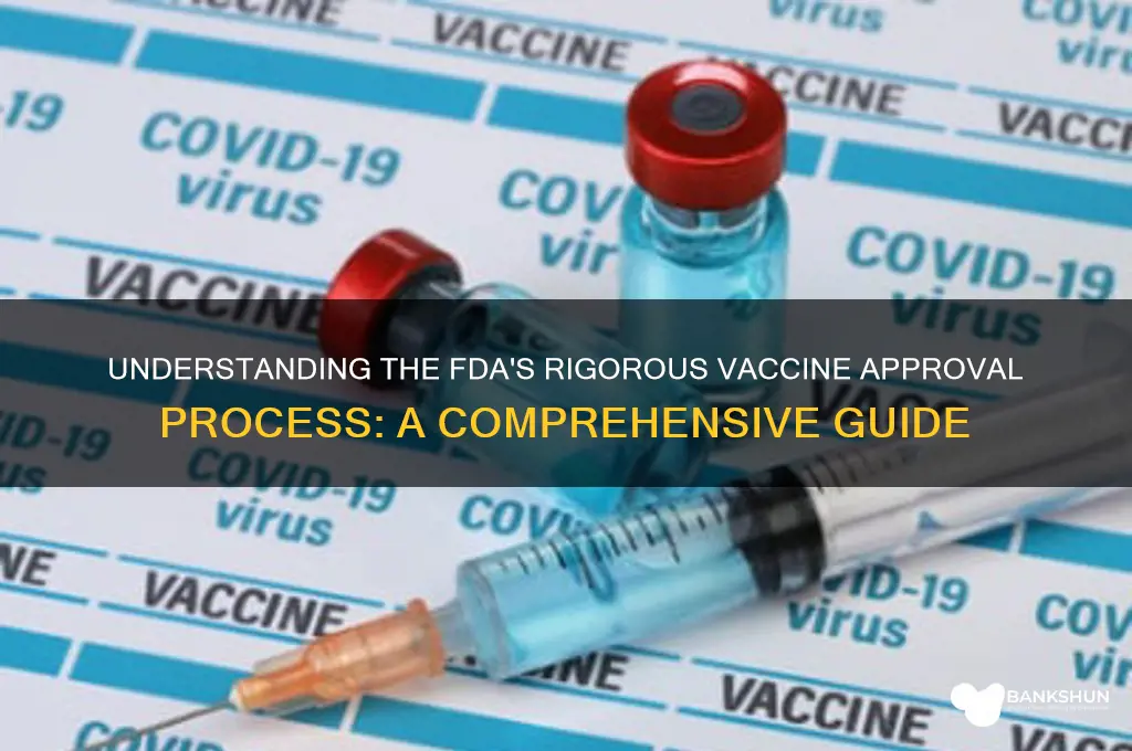 what is the fda vaccine approval process